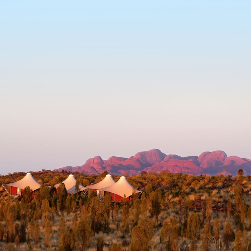 Wild Views - Longitude 131