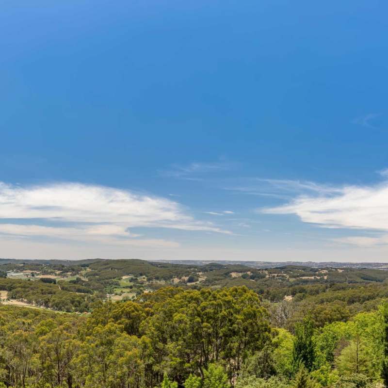 Panoramic Views - Sequoia Lodge 