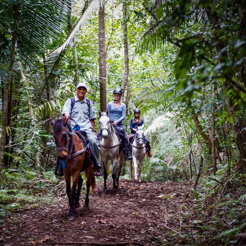 Horse riding - Blancaneaux Lodge