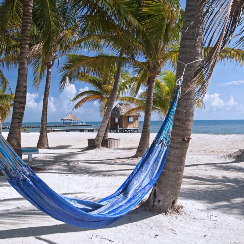 Beach and Hammock - Victoria House