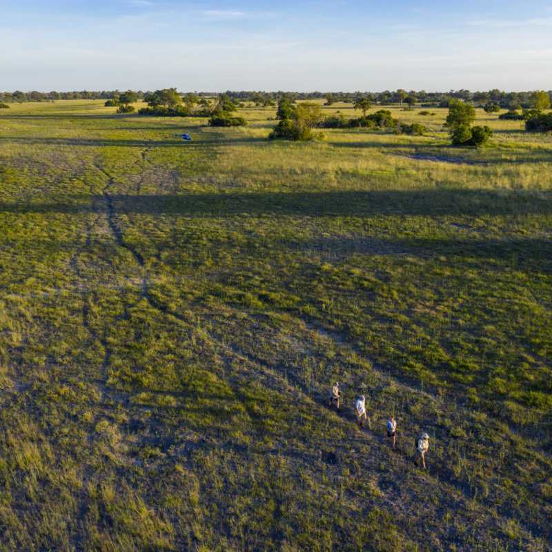 Wilderness Walking