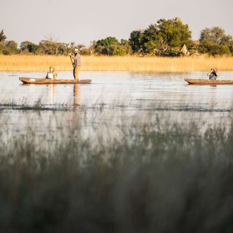Mokoro water activity