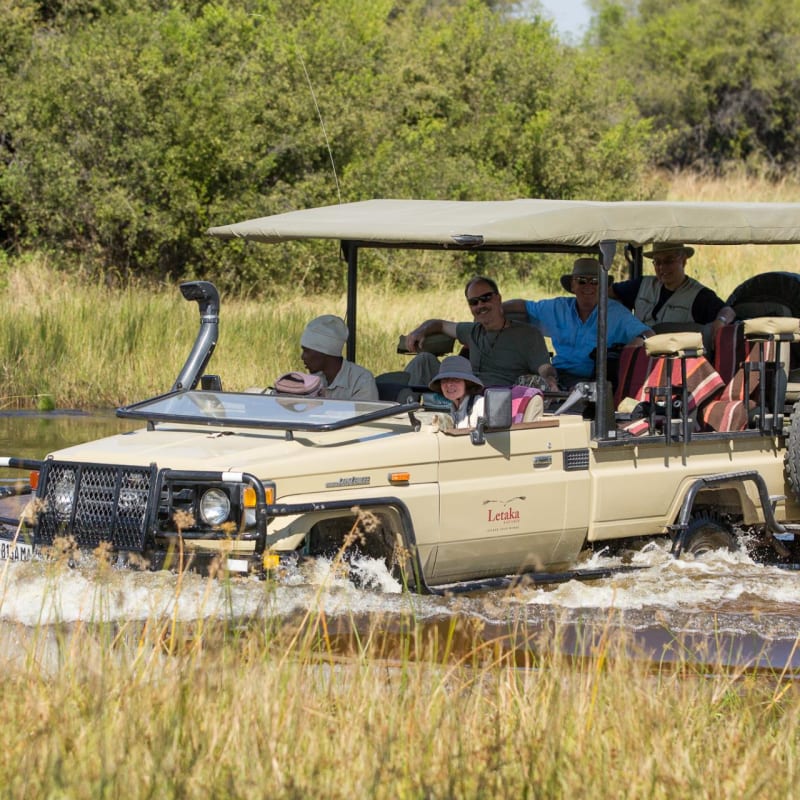 Fording the Delta - Letaka Safaris