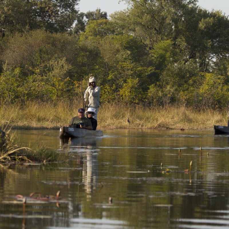 Explore in a traditional mokoro - Letaka Safaris