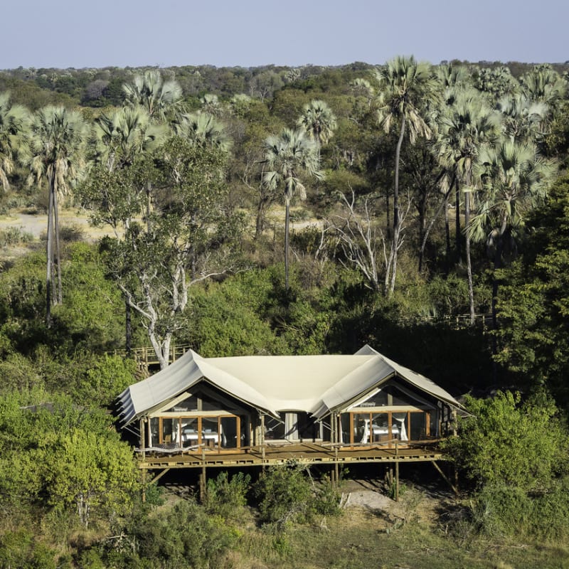 The family tent - Tubu Tree Camp