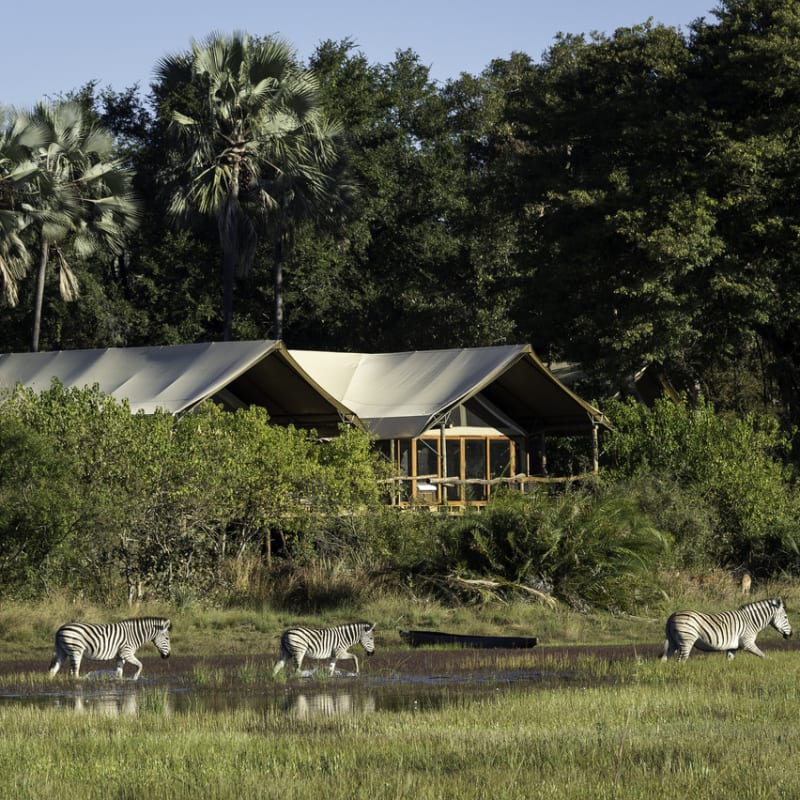 Tubu Tree Camp