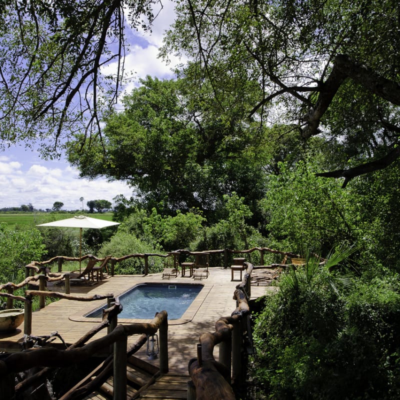 Swimming pool - Tubu Tree Camp