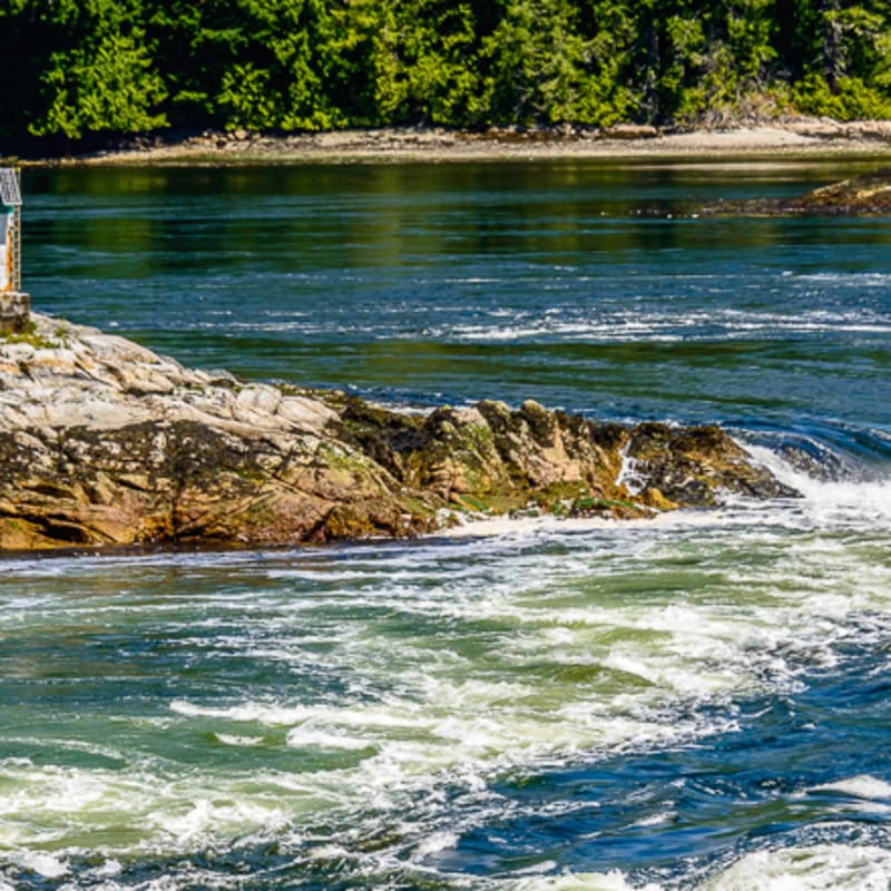 Landscape  - West Coast Wilderness Lodge