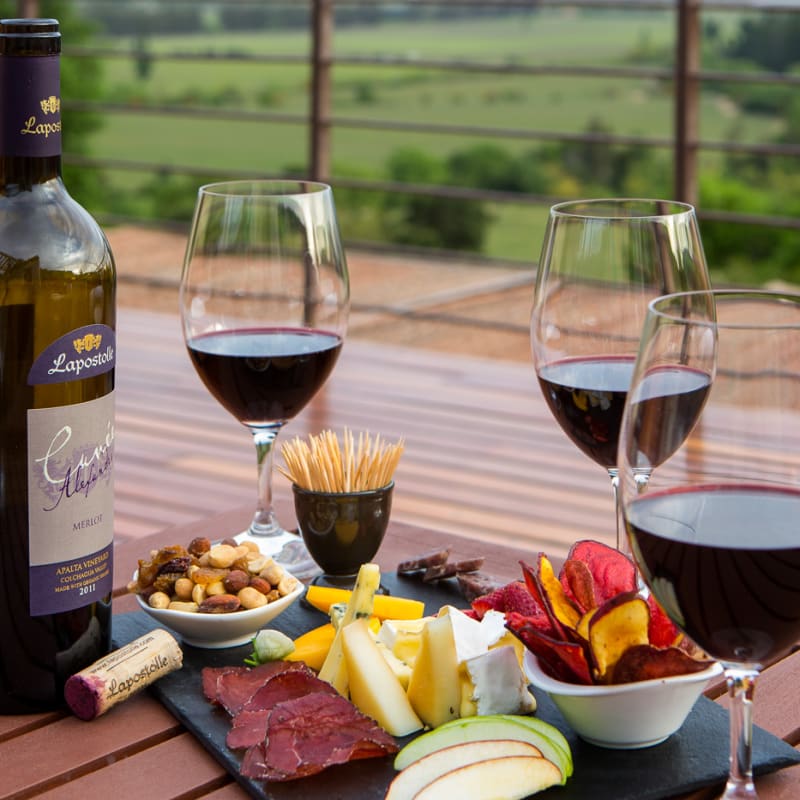 Lapostolle wine tasting - Clos Apalta Residence