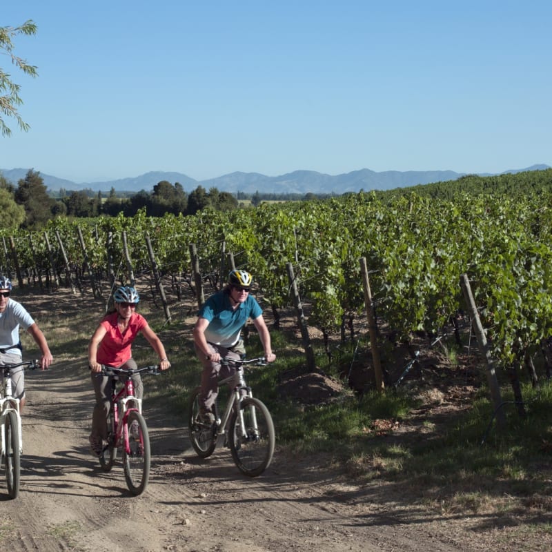 Cycling through the vineyards - Clos Apalta Residence