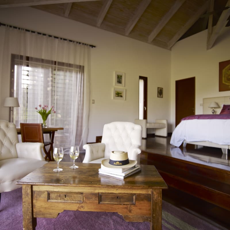 Casita Merlot - Clos Apalta Residence