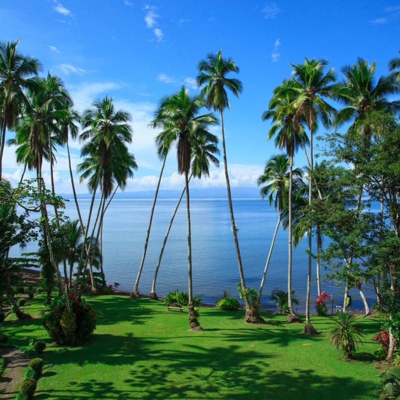 Beautiful ocean views - Playa Cativo