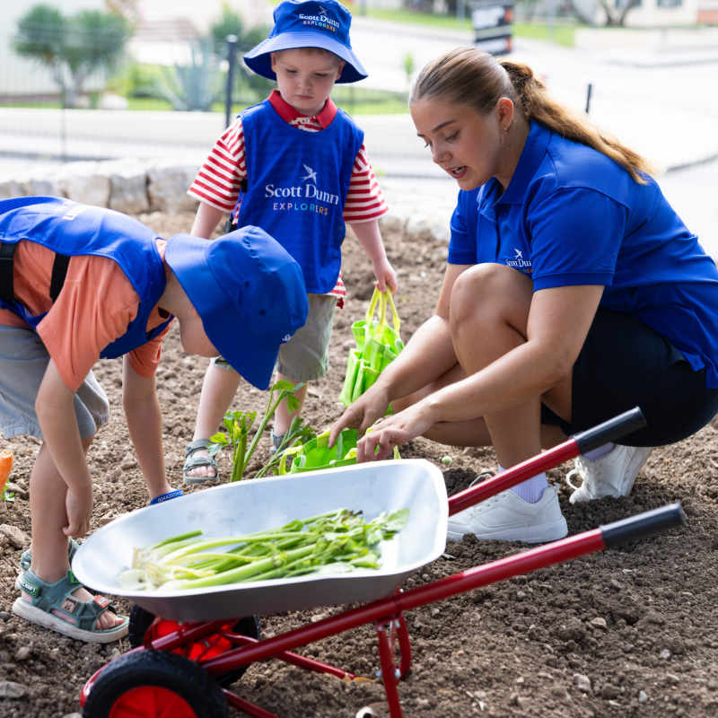 gardening 