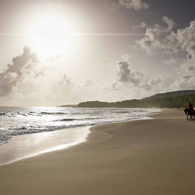 Beach - Amanera