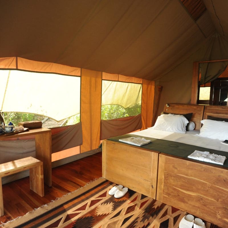 Tent interior  - Galapagos Safari Camp