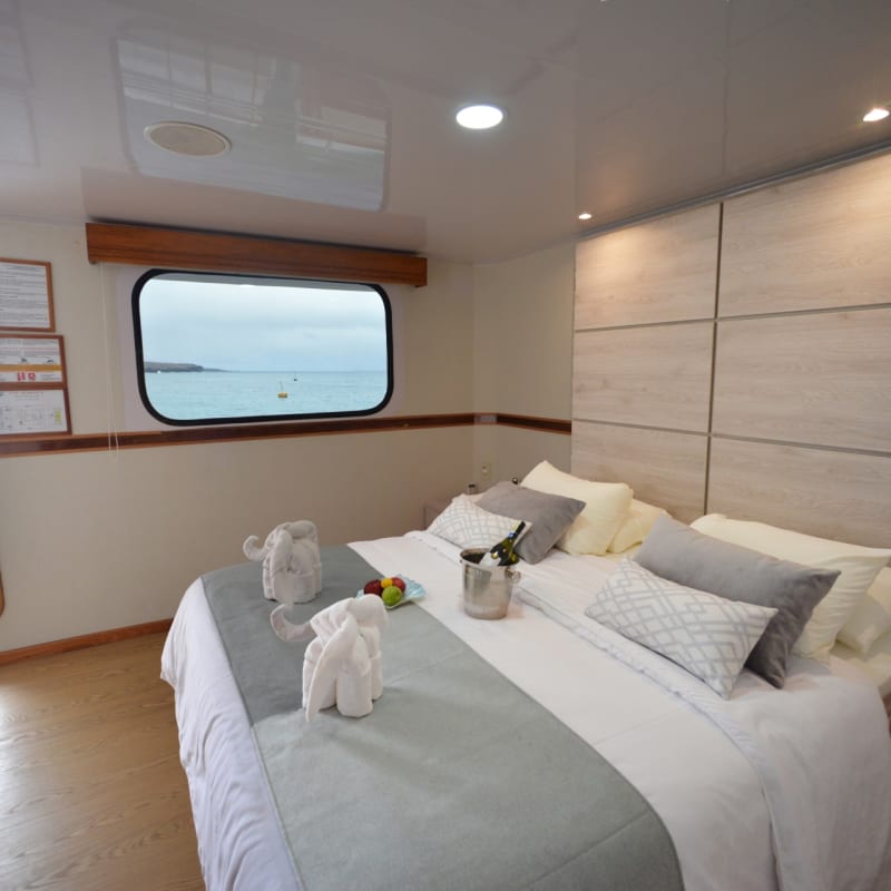 Matrimonial Cabin