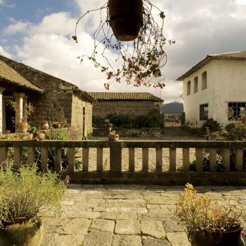Looking out on the estate - Hacienda San Agustin de Callo