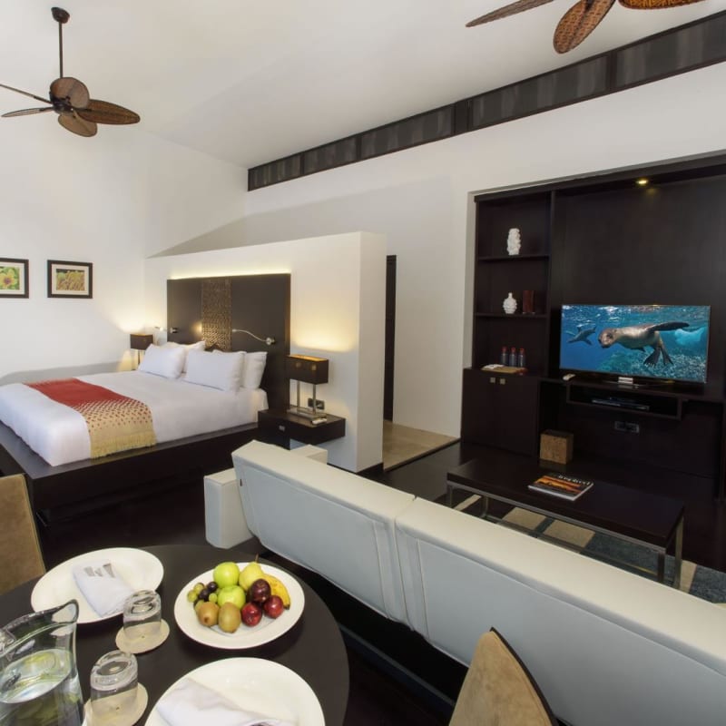 Garden Suite - Pikaia Lodge