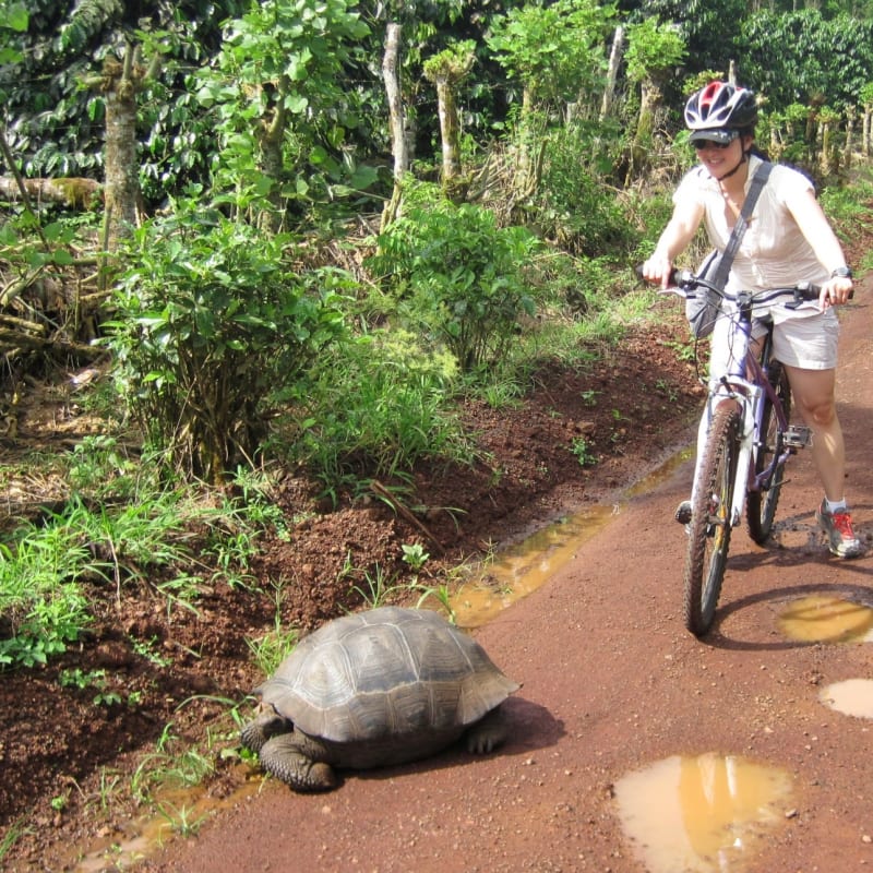 Biking on Santa Cruz