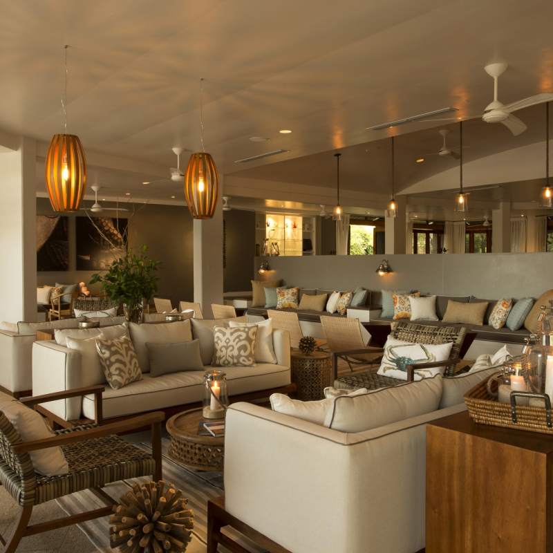 Finch Bay Lounge