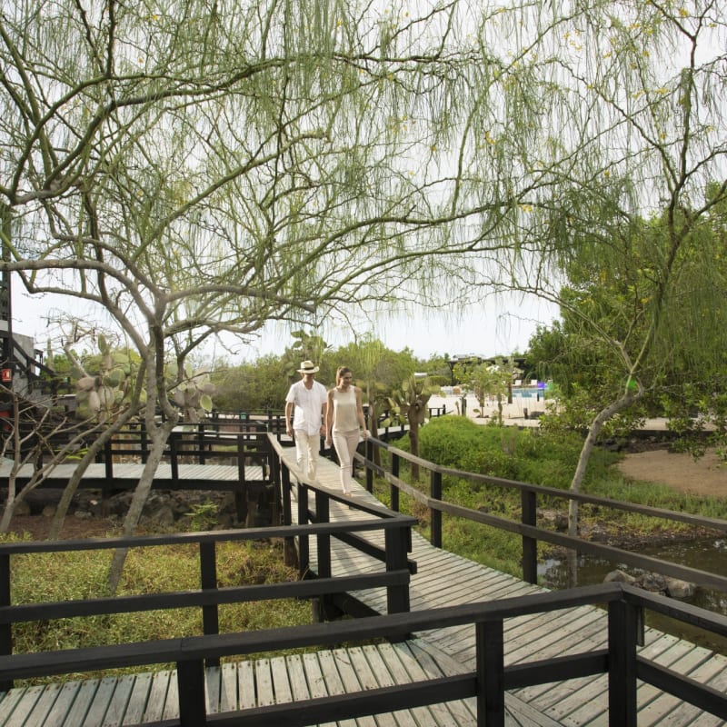 Gardens and walkways