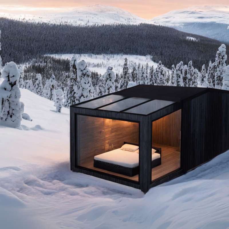 in the snow