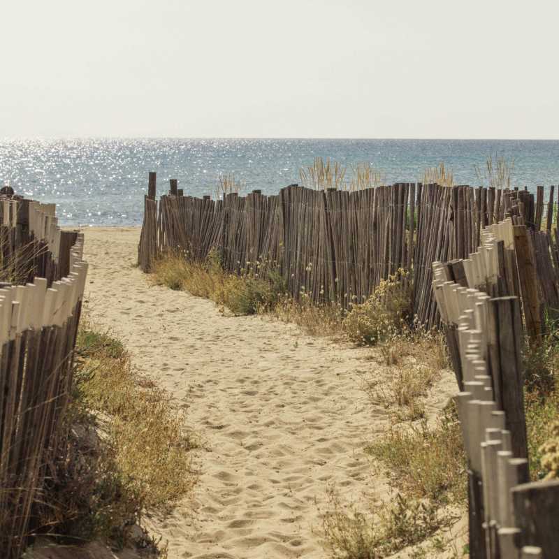 On the way to the beach 