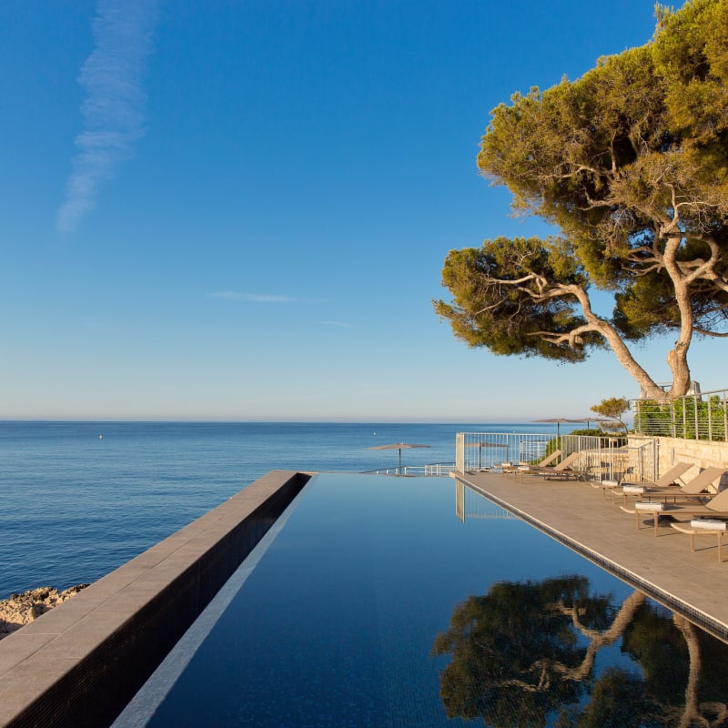 Infinity Pool
