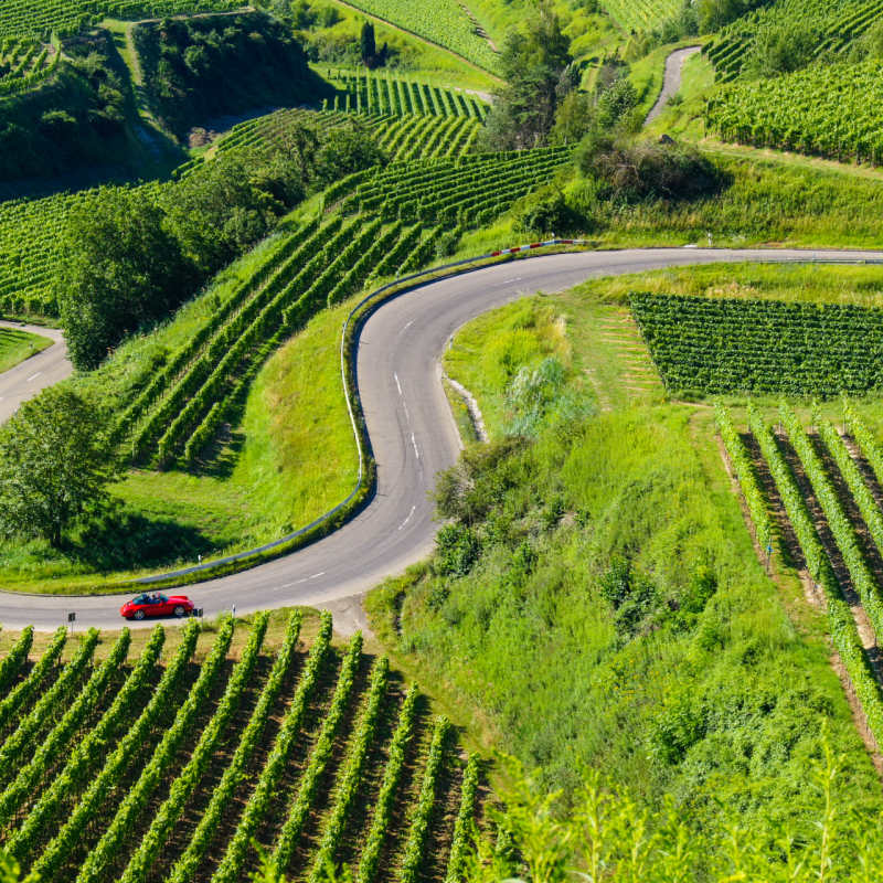 Car Driving in the German vineyard