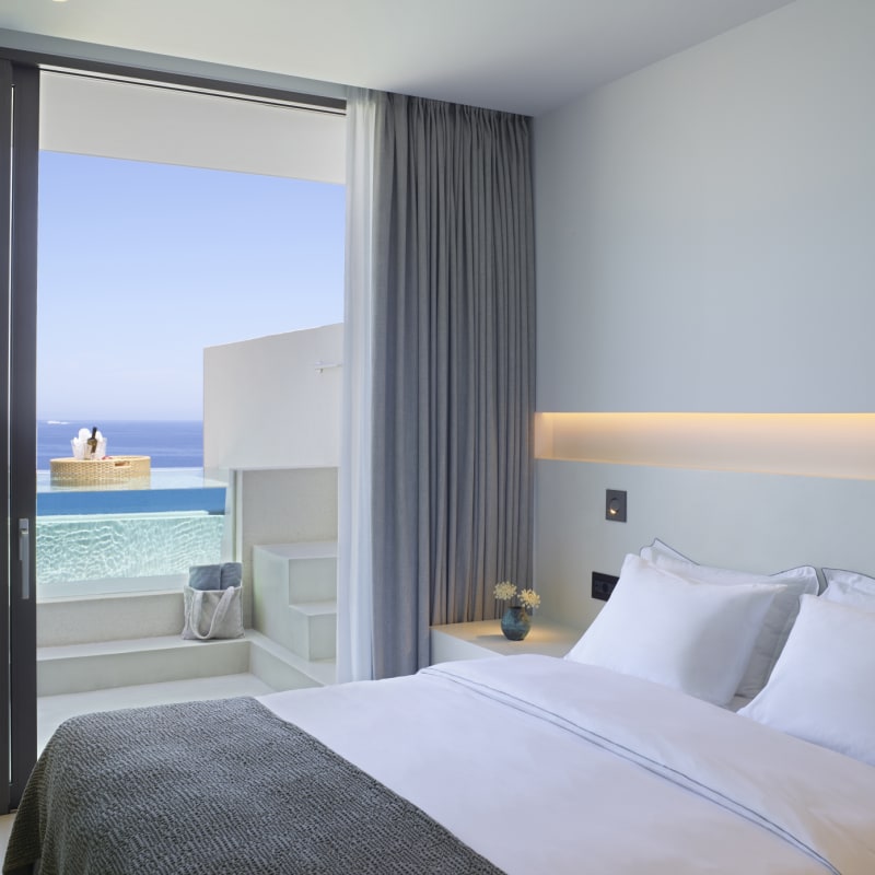 Deluxe Suite with Private Pool   