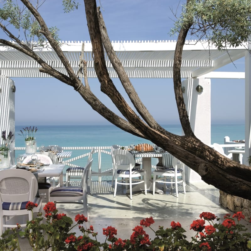 Ouzerie Restaurant - Sani Club
