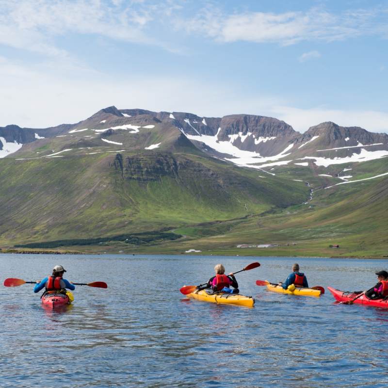 Sea kayaking - Deplar Farm