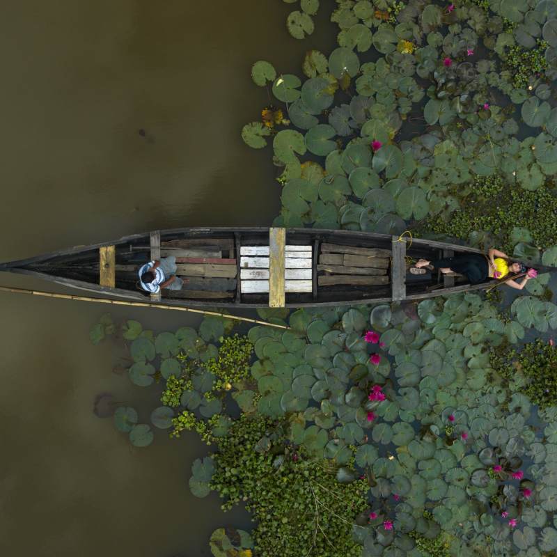 Boat experince - Coconut Lagoon