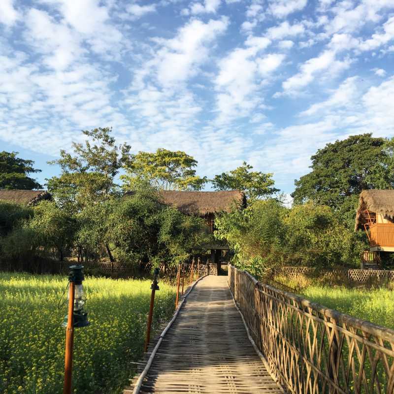 Bamboo Walkway  - Diphlu River Lodge