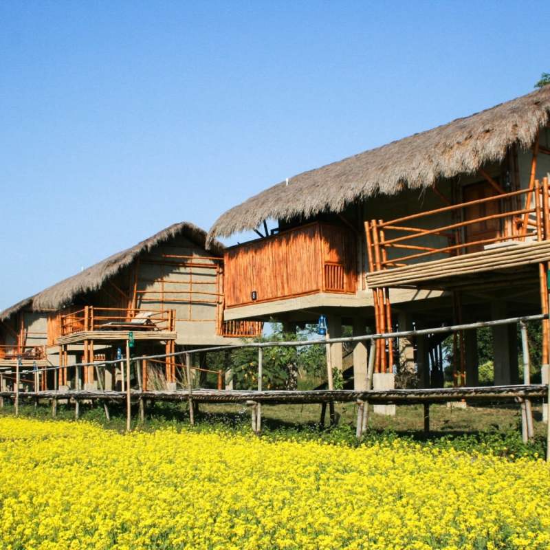 Cottages on stilts - Diphlu River Lodge