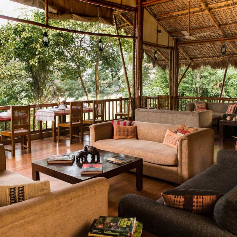 machan - Diphlu River Lodge 