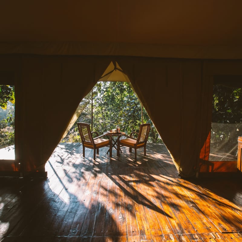 Spacious Tents - Jamtara Wilderness Camp