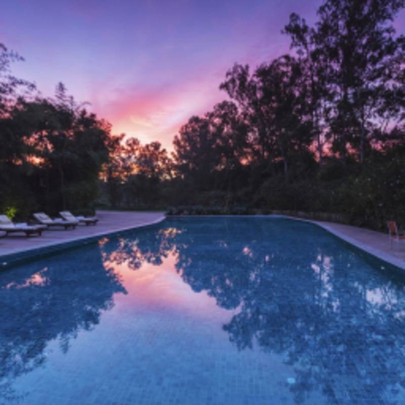 Pool - Jehan Numa Retreat