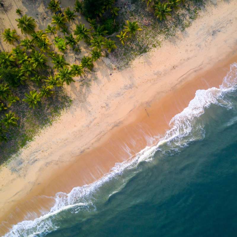 Aerial Shot - Marari Beach