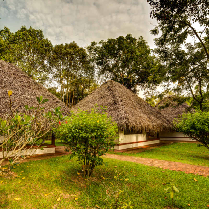 Rooms - Marari Beach 