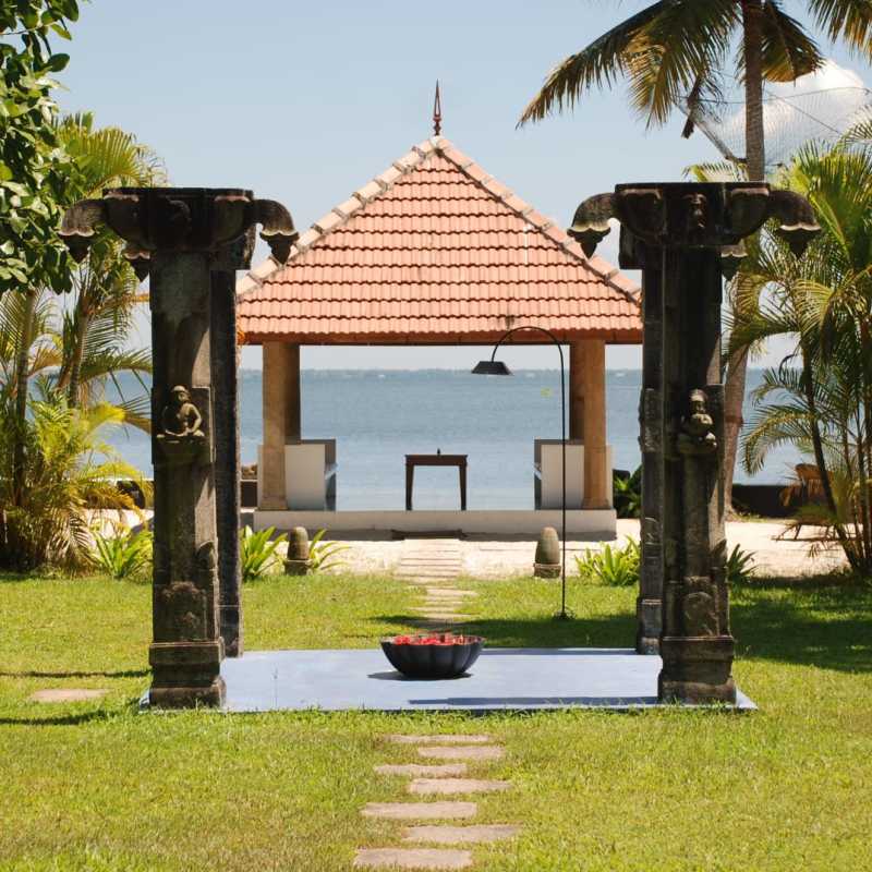 View to Water - Purity