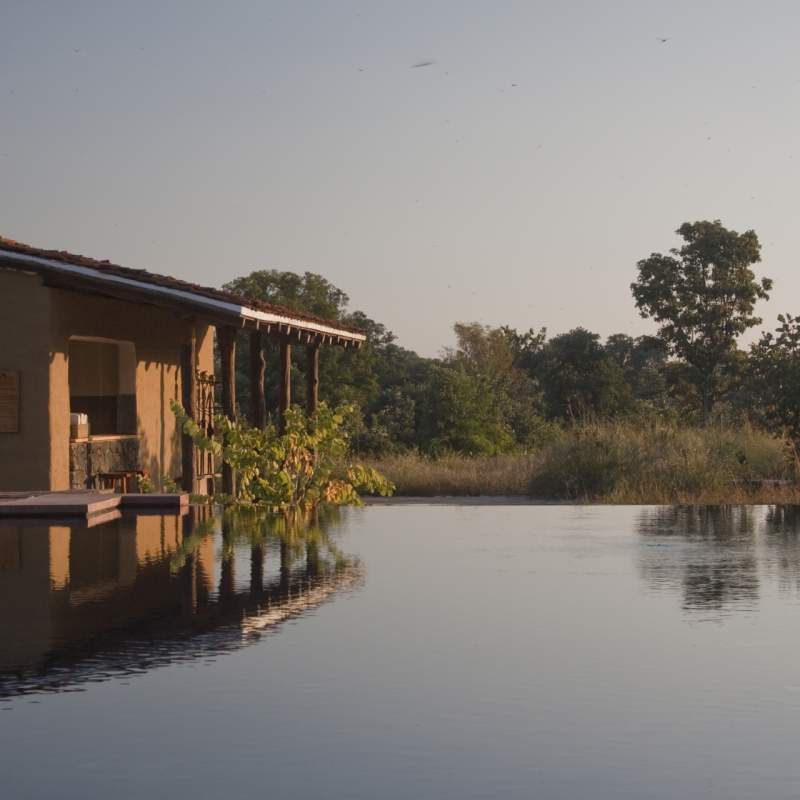 Pool - Samode Safari Lodge