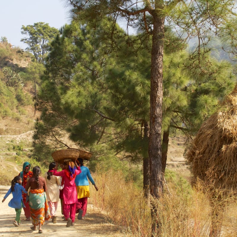 Local life in Kumaon - Shakti Kumaon Village Houses