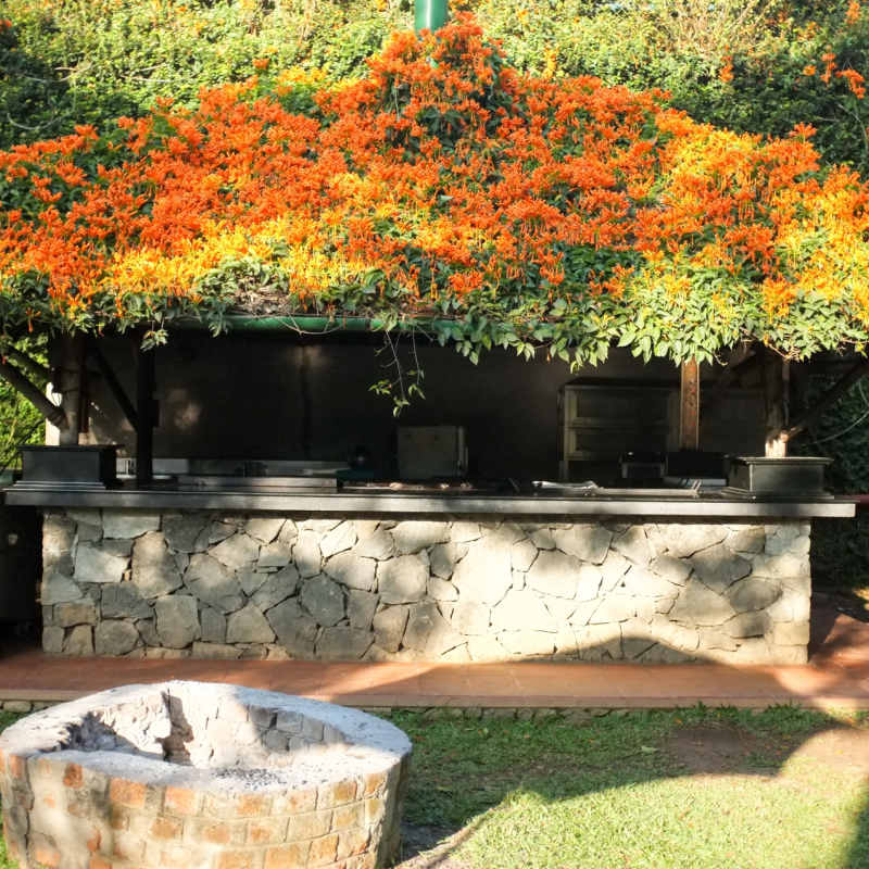 Traditional Style - Spice Village