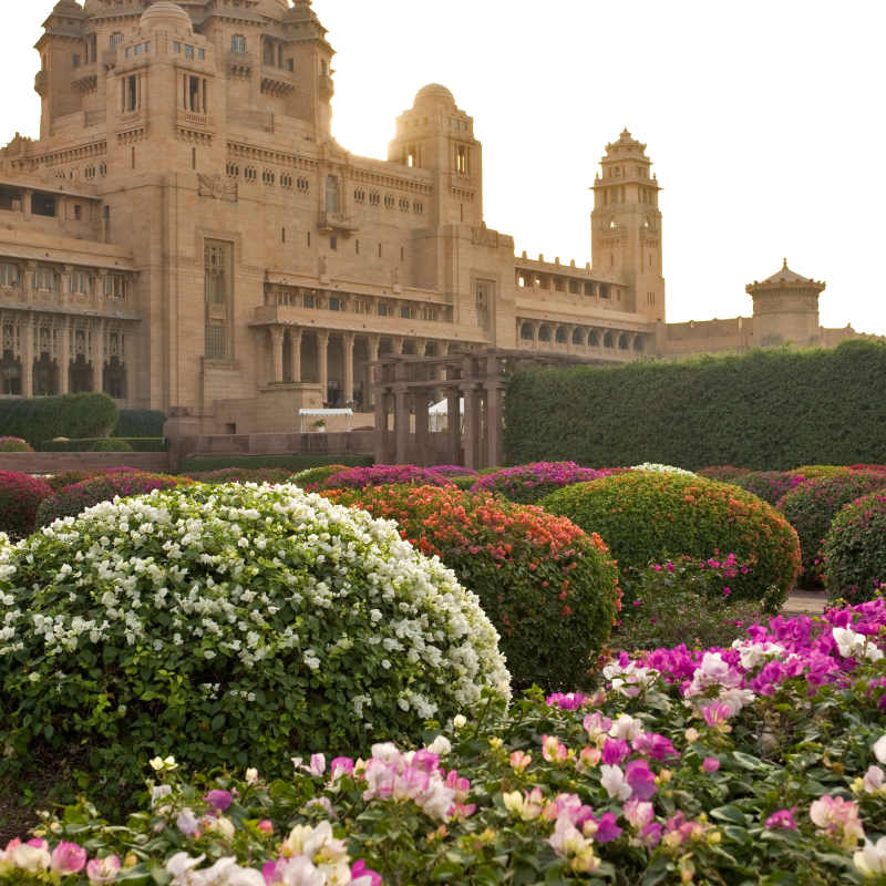 Palace Gardens - Umaid Bhawan Palace 