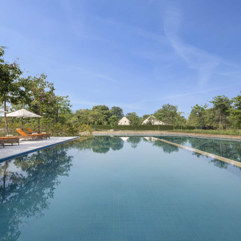 Pool - The Oberoi Vindhyavilas 