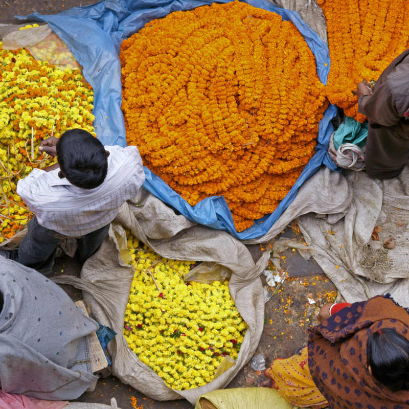 Flower Market 