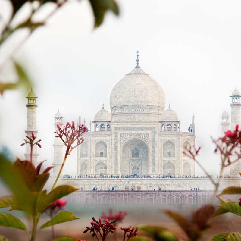 Taj