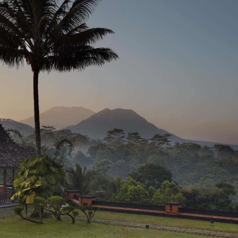 Landscape - MesaStila