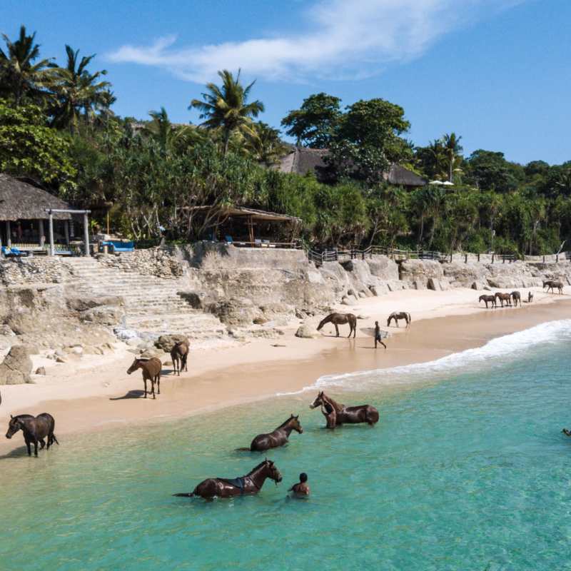 Horse Riding in Ocean